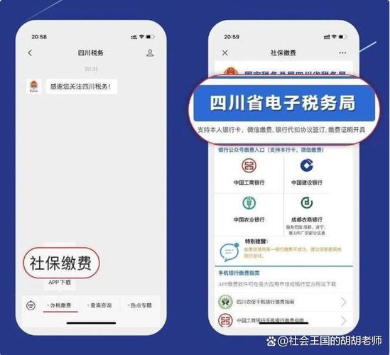 国家税务局总局四川省电子税务局