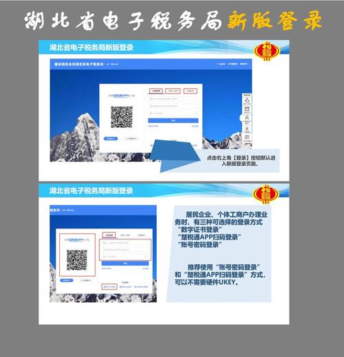 湖北省国家税务局网上申报系统