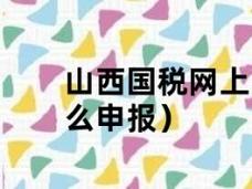 山西国家税务局网上申报平台