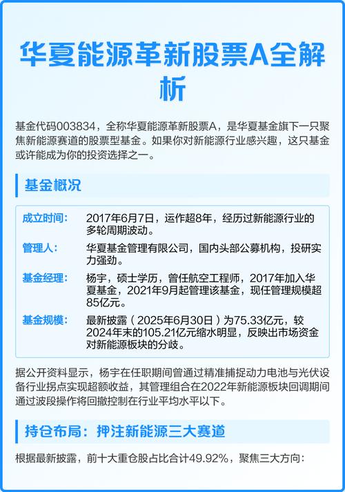 华夏能源革新股票基金