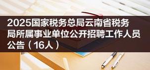 国家税务局云南省电子税务局