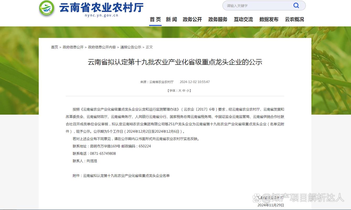 云南企业公示信息填报