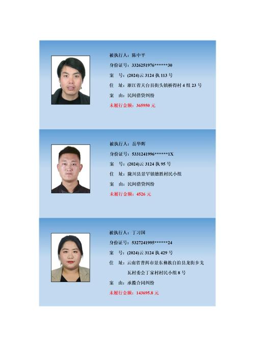 云南执行人信息查询官网