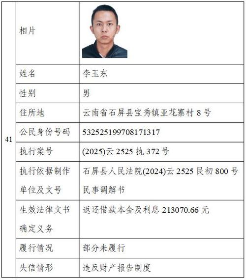 云南执行人信息查询官网