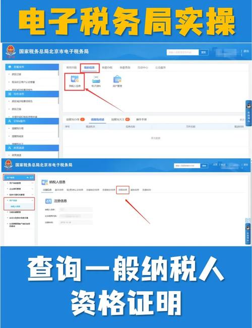 福建税务局企业信息查询