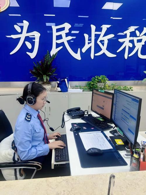 广西壮族自治区网上税务局