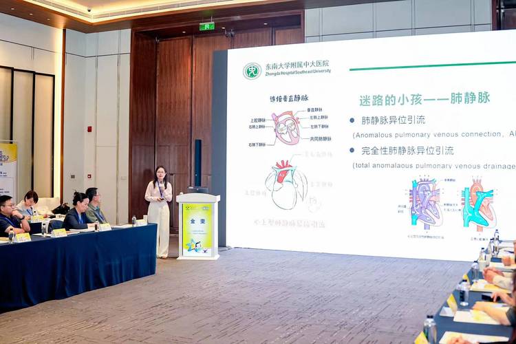 嘉实杯基金投资大塞