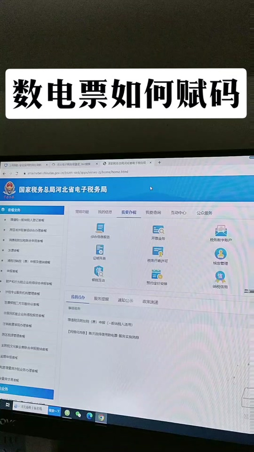 河北地税电子税务局app