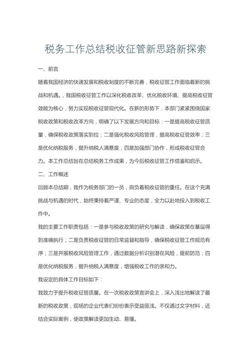 税务工作个人总结2025