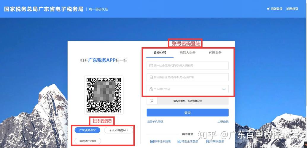 国家税务总局电子申报工具