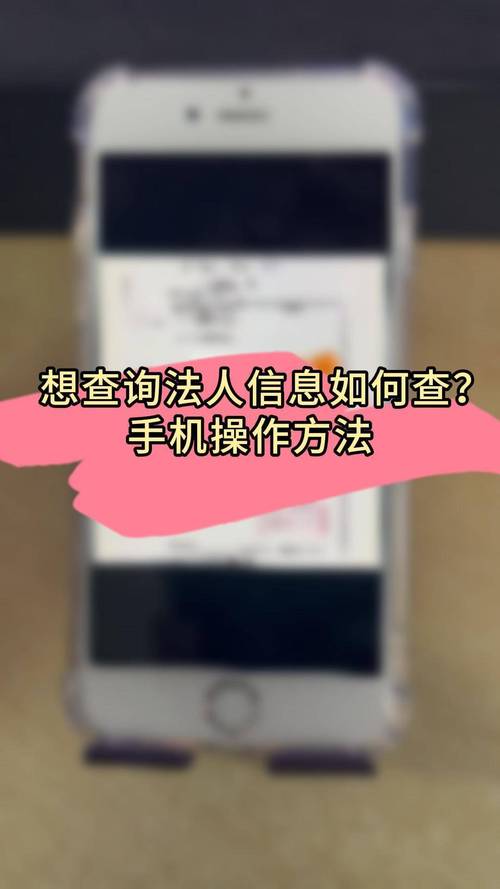 公司企业法人代码查询