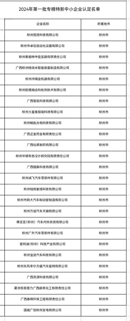 柳州工商局企业信息查询