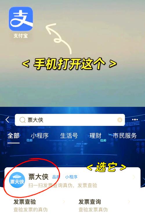 河南省地方税务局发票查询