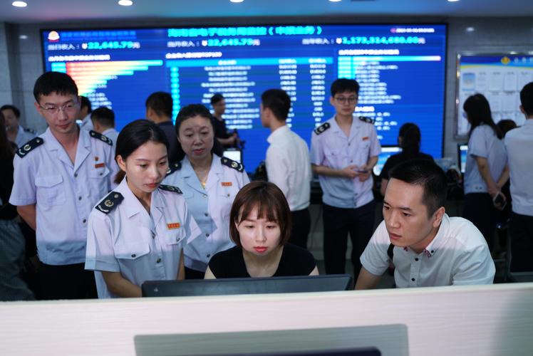 国家税务总局海南省税务局