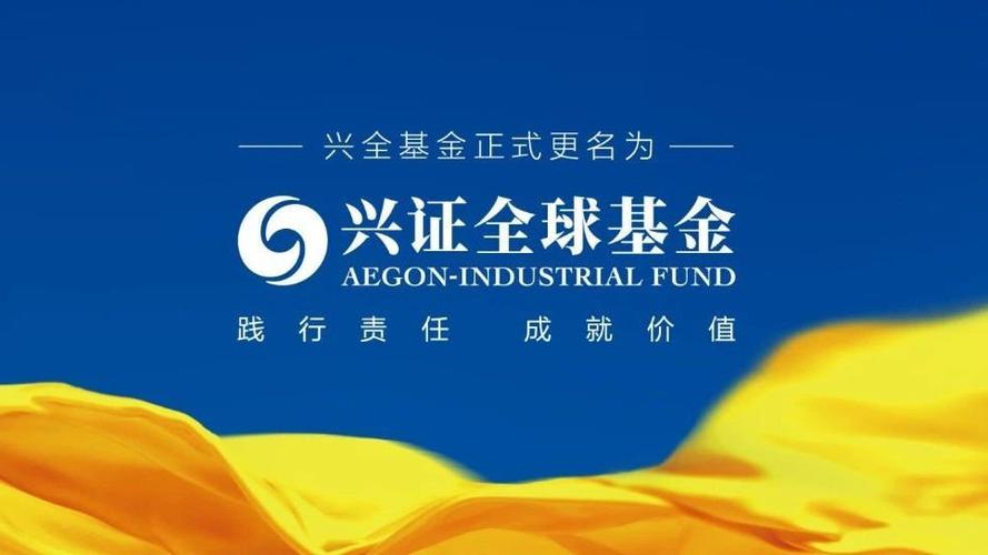 兴全基金 网宿科技