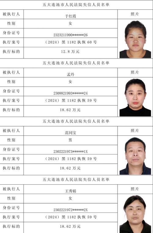 阜南县冯涛失信信息查询