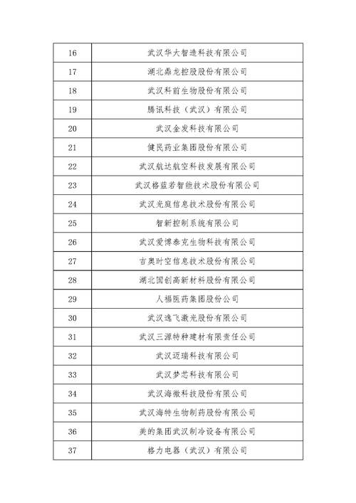 武汉中小企业名录查询