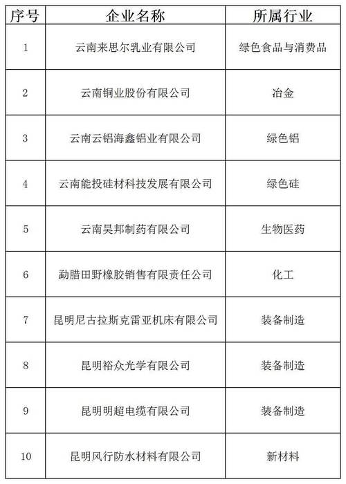 云南省企业信息公示网