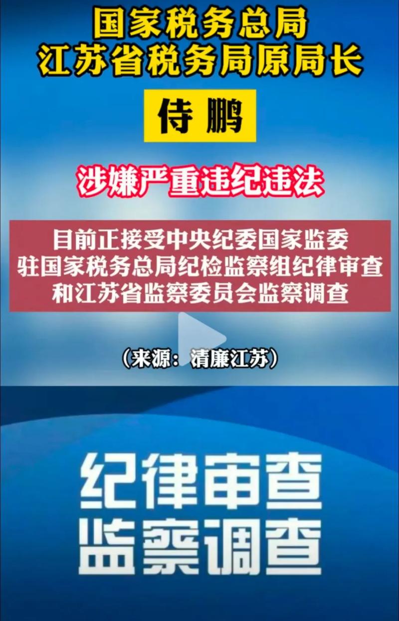 中纪委 税务 从严