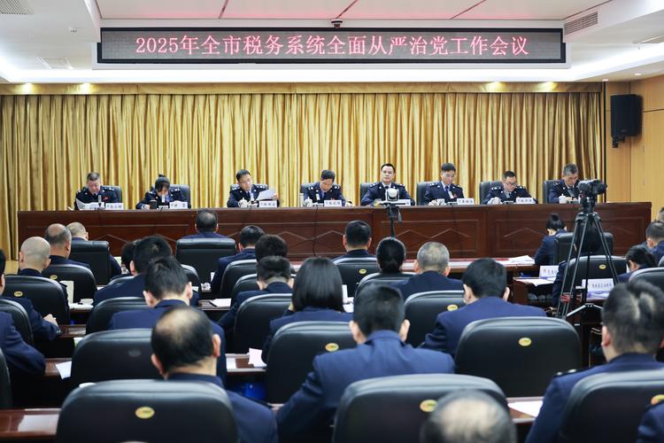 中纪委 税务 从严