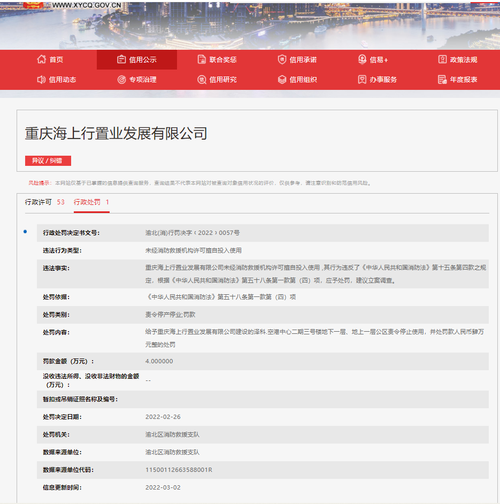 中国信息网查询系统重庆