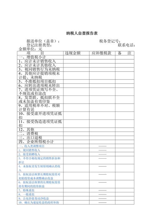 shuiwu税务自查表