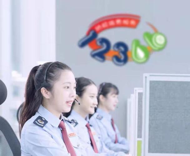 陕西税务12366主任