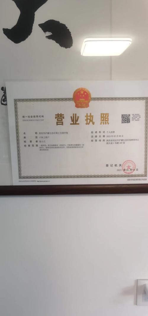 西安企业营业执照查询