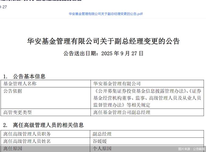 华安互联网媒体基金