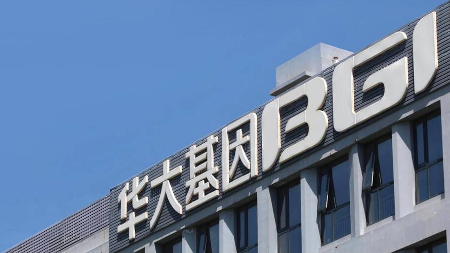 重仓华大基因的基金