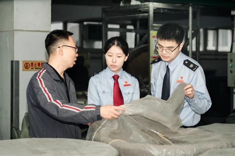 国家税务总局 省税务局