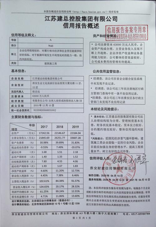 企业信用信息报告编号