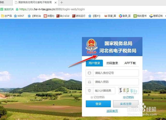 国家税务河北税务局官网