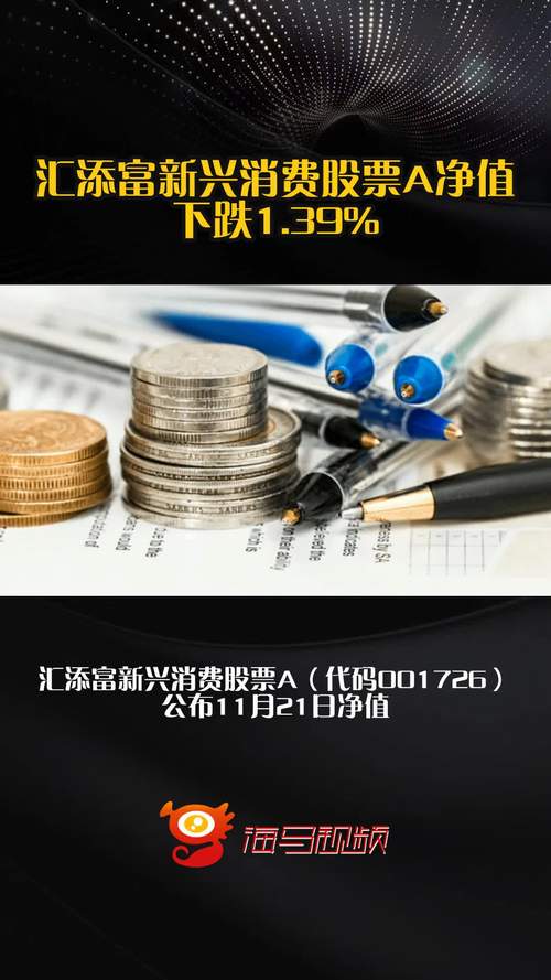 汇天富新兴消费基金
