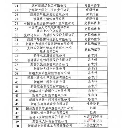 新疆企业公示信息查询