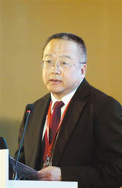 杨泽军丝路基金简历