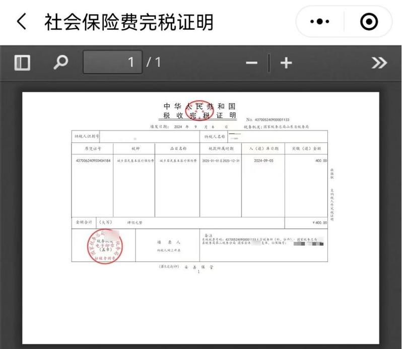国家税务电子税务局山东
