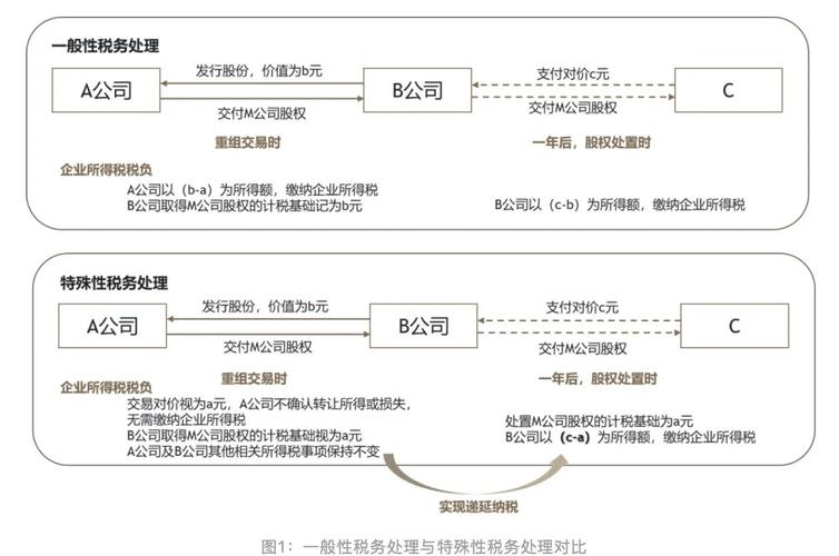 特殊性税务处理税务说明