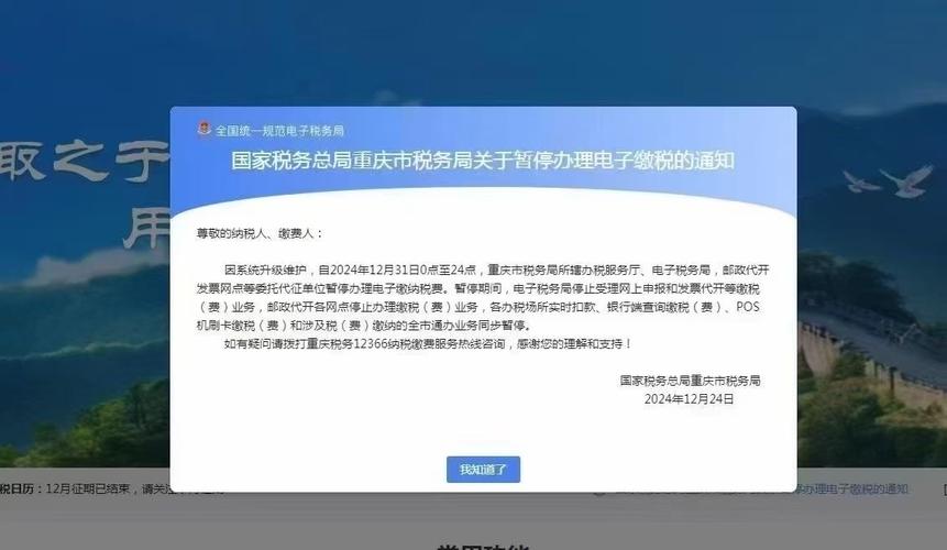 税务总局重庆电子税务局