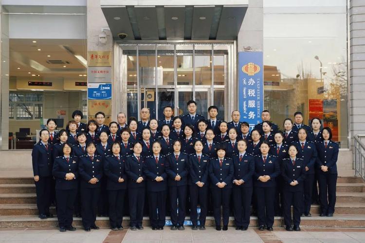 市局税务分局和区税务局