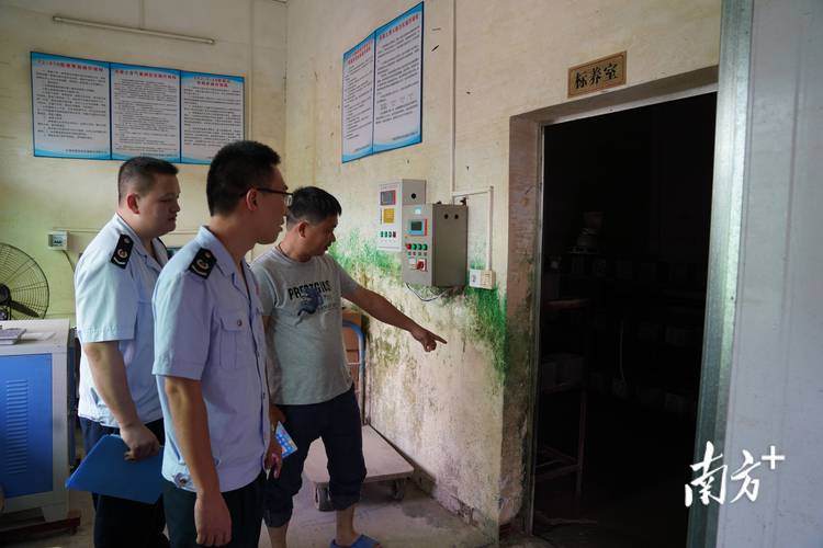 税务分局防汛支援税务所