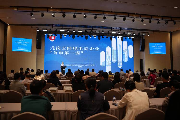 深圳税务税务分局研讨会