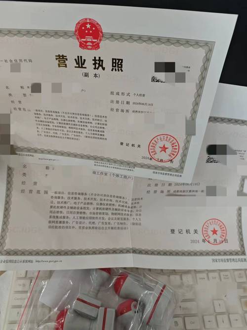 企业工商营业执照查询