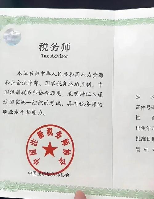 税务登记证 财务负责人