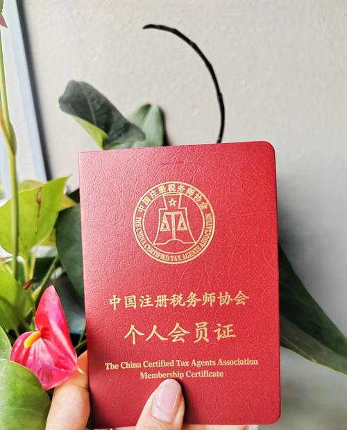 税务登记证 财务负责人