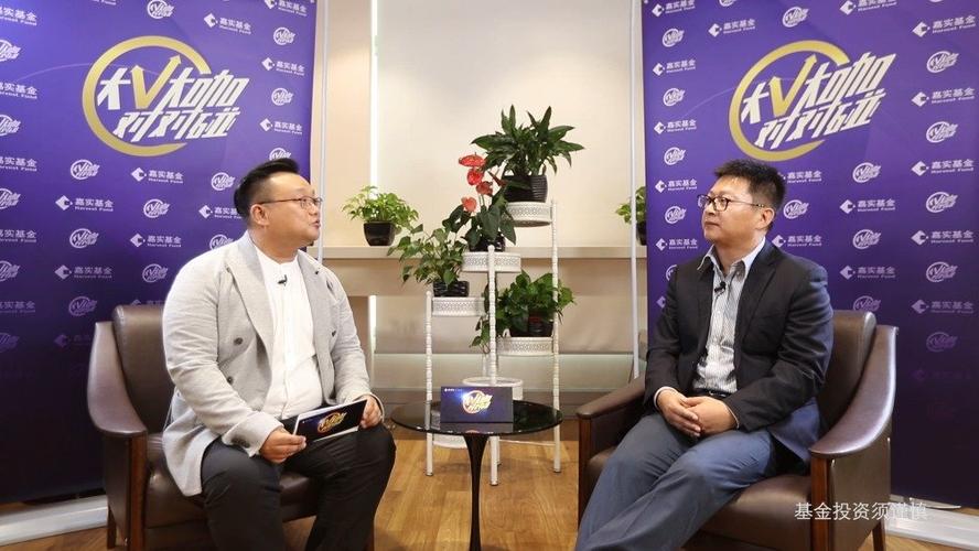 嘉实泰和基金怎么样