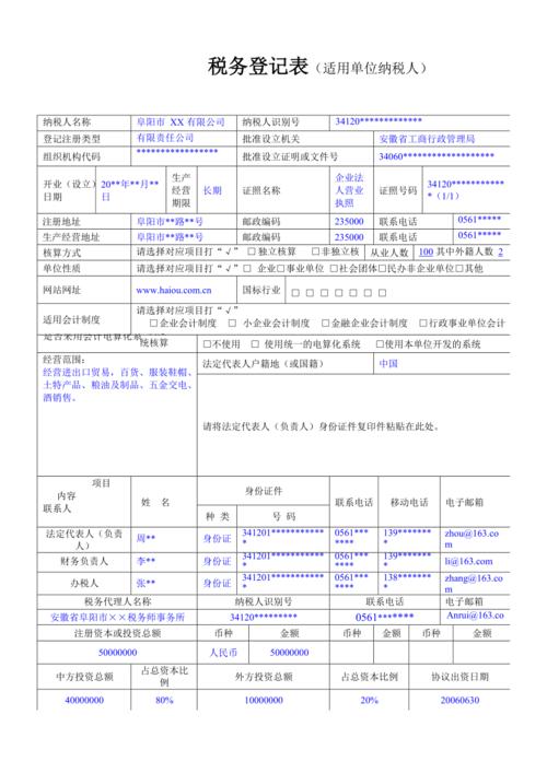 税务登记表 财务负责人