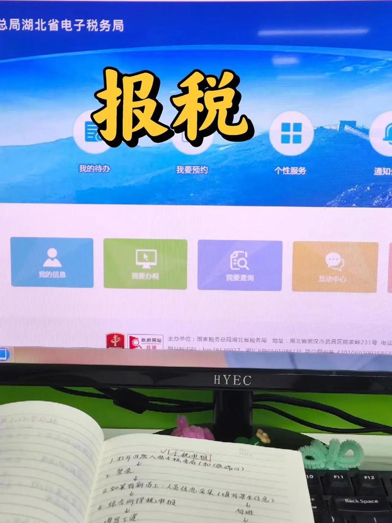 云南地方税务局网上申报