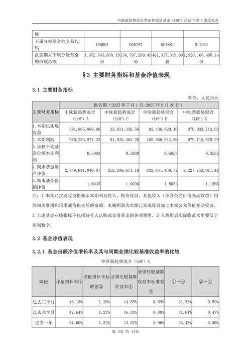 中欧中小盘股票基金