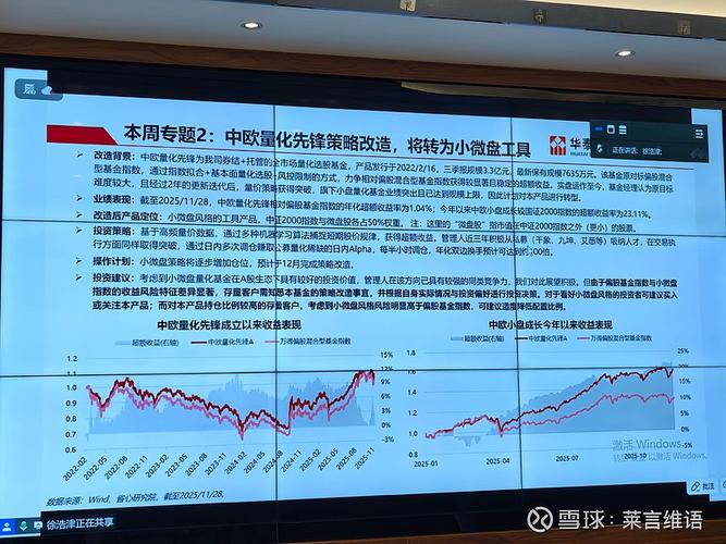 中欧中小盘股票基金